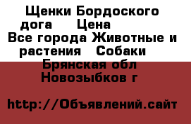 Щенки Бордоского дога.  › Цена ­ 30 000 - Все города Животные и растения » Собаки   . Брянская обл.,Новозыбков г.